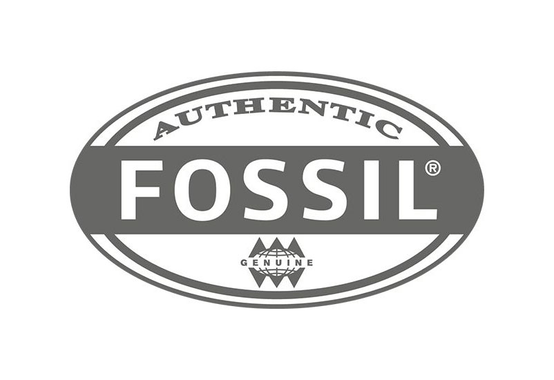 化石(Fossil)