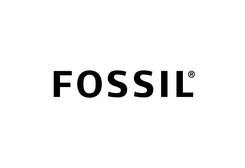 化石(Fossil)