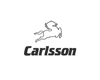 卡尔森(Carlsson)
