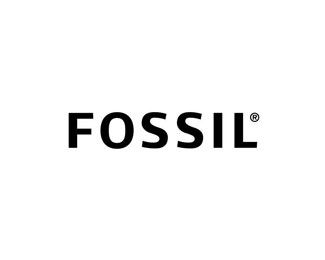 化石(Fossil)