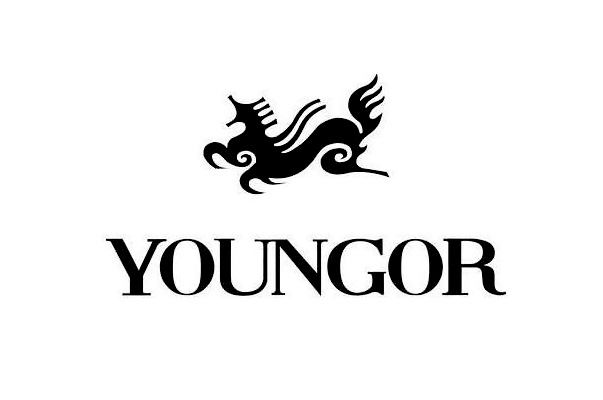 雅戈尔(Youngor)