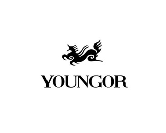 雅戈尔(Youngor)