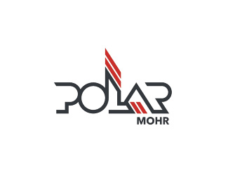 波拉(Polar)