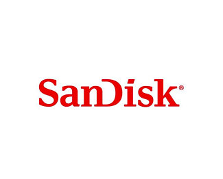 闪迪(SanDisk)