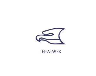 HAWK创意动感品牌标志欣赏