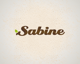 Sabine萨宾创意字母标志设计欣赏