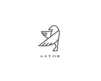 ASTOR创意品牌标志设计